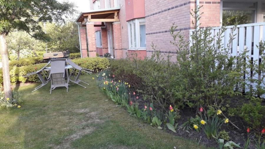 Enstagården och vårens tulpaner
